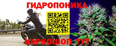 трава Краснокаменск