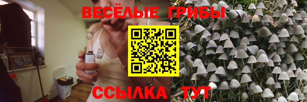Кинель  Галлюциногенные грибы мицелий  Вход с VPN 